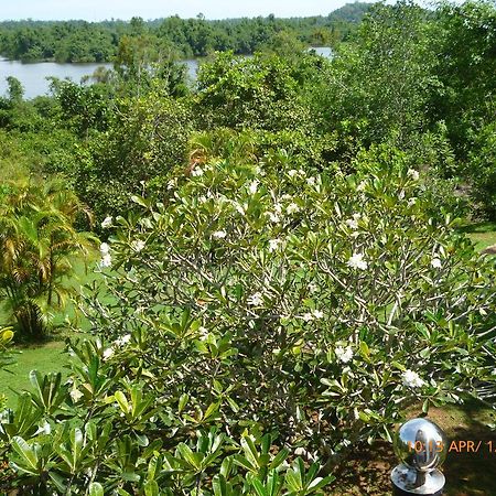 Sobaco Nature Resort Bentota Eksteriør bilde