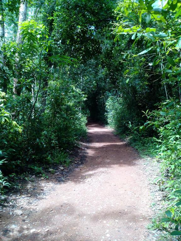 Sobaco Nature Resort Bentota Eksteriør bilde