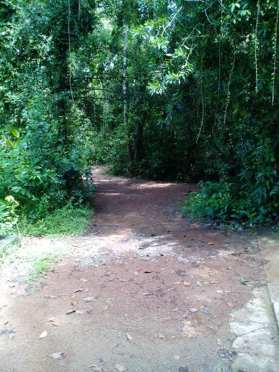 Sobaco Nature Resort Bentota Eksteriør bilde