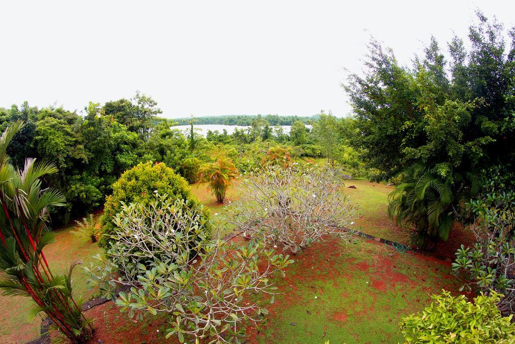 Sobaco Nature Resort Bentota Eksteriør bilde