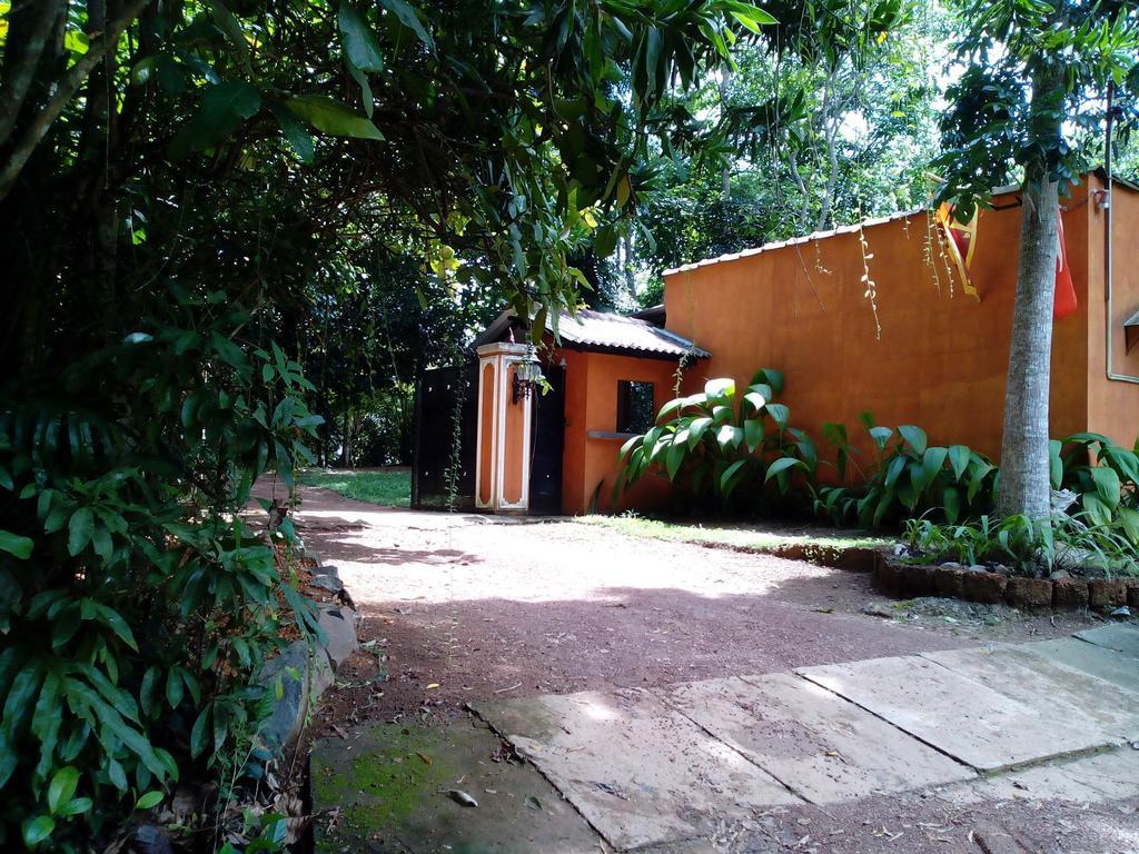 Sobaco Nature Resort Bentota Eksteriør bilde