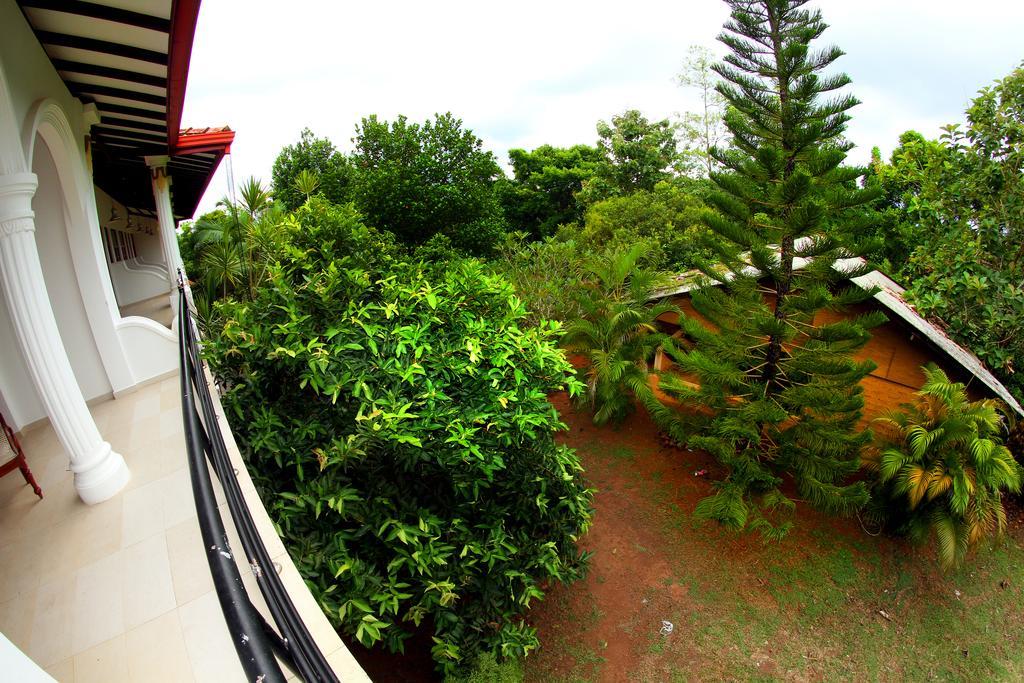 Sobaco Nature Resort Bentota Eksteriør bilde