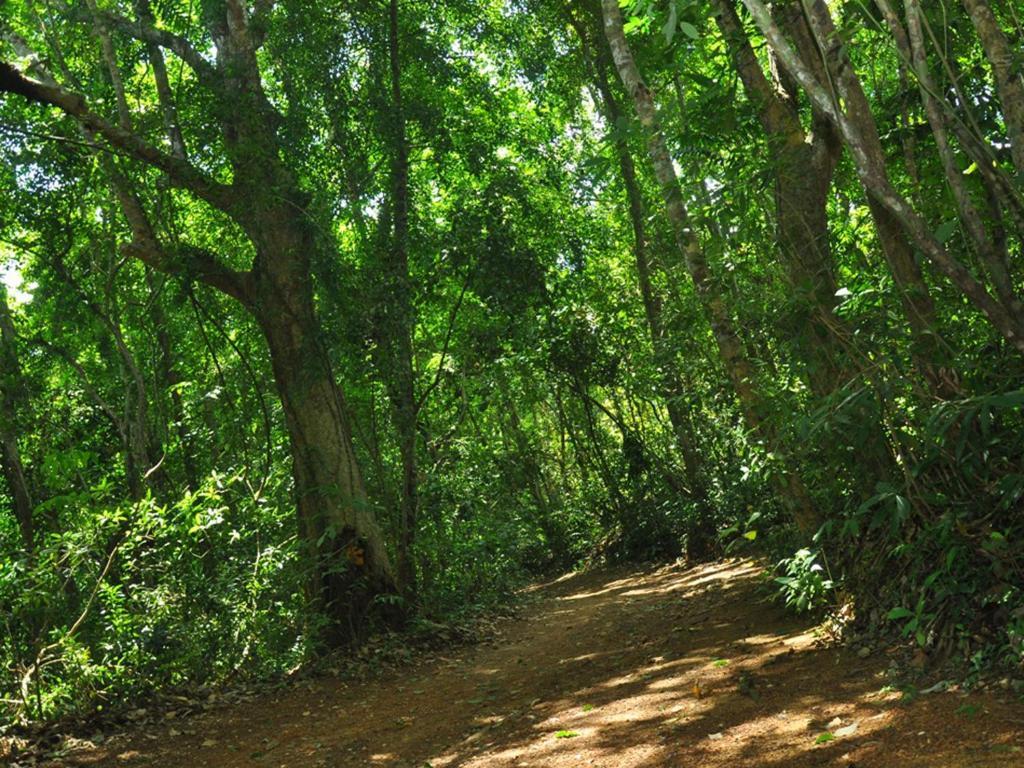 Sobaco Nature Resort Bentota Eksteriør bilde